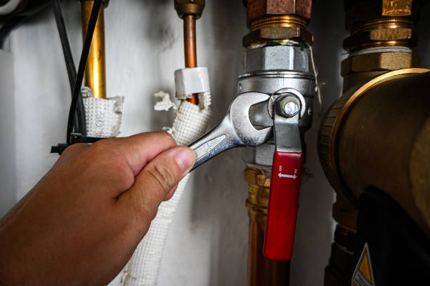 Best Clogged Drain Plumber  in Belvidere, NJ